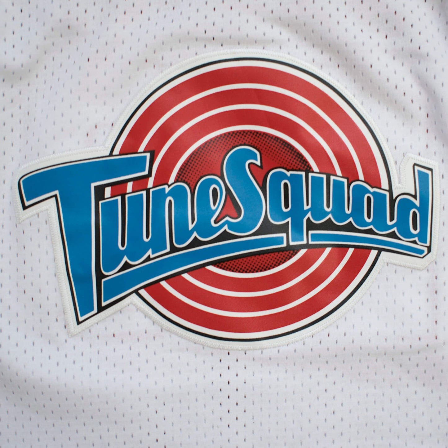 Youth Space Jam Jersey: Michael Jordan #23 Tune Squad freeshipping - Jersey One